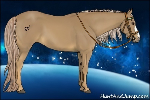 Horse Color:Palomino