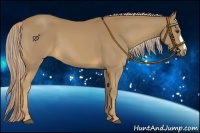 Horse Color:Palomino