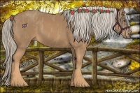 Horse Color:Palomino  Brindle