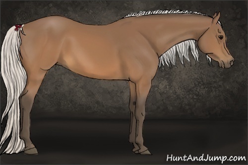 Horse Color:Silver Brown 