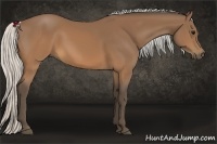 Horse Color:Silver Brown