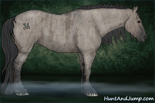 Horse Color:Grullo Roan Tobiano  Brindle