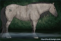 Horse Color:Grullo Roan Tobiano Brindle