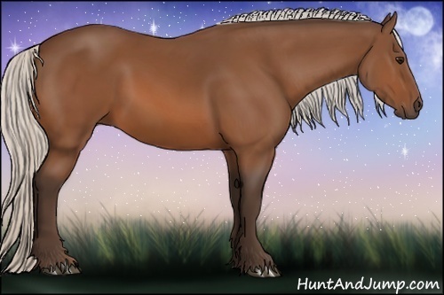 Horse Color:Silver Bay