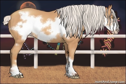 Horse Color:Silver Amber Champagne Frame 