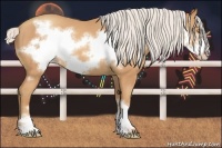 Horse Color:Silver Amber Champagne Frame 