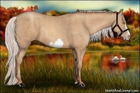 Horse Color:Silver Amber Champagne Frame Rabicano Brindle