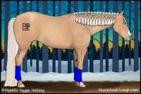 Horse Color:Silver Amber Champagne Frame 