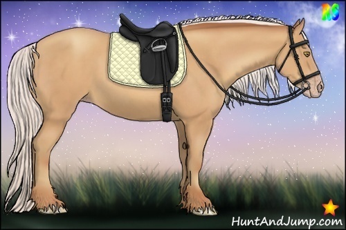 Horse Color:Silver Amber Champagne Frame 