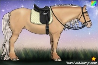 Horse Color:Silver Amber Champagne Frame 