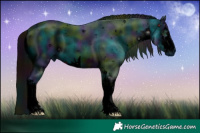 Horse Color:ERROR: UNKNOWN ANOMALY