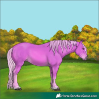 Horse Color:Watercolor Chestnut 