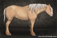 Horse Color:Silver Amber Champagne Frame 