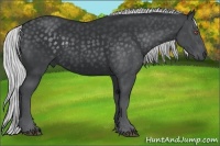 Horse Color:Silver Black Chinchilla