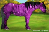 Horse Color:ERROR: UNKNOWN ANOMALY and ERROR: UNKNOWN ANOMALY