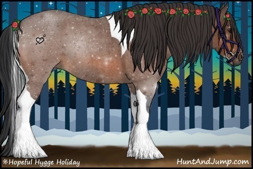 Horse Color:Bay Roan Tobiano