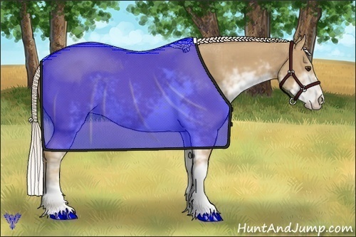 Horse Color:Palomino Sabino
