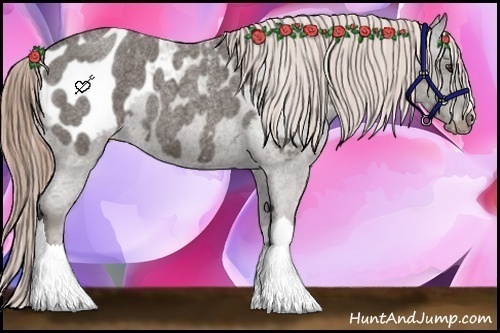 Horse Color:Liver Red Roan Appaloosa