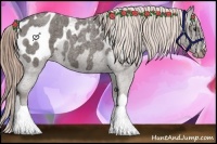 Horse Color:Liver Red Roan Appaloosa 