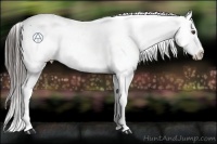 Horse Color:Liver Chestnut Snowflake Varnish