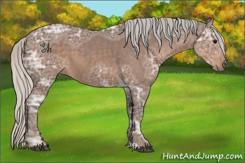 Horse Color:Silver Black Ice Sabino