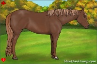 Horse Color:Chestnut Frame