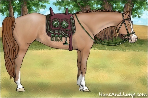 Horse Color:Bay Pearl Sabino Rabicano