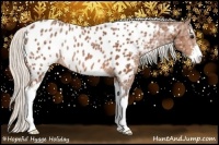 Horse Color:Silver Bay Ice Sabino Appaloosa Rabicano 