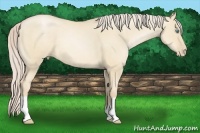 Horse Color:Palomino Pearl Dun
