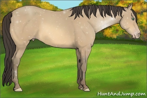 Horse Color:Amber Cream Champagne 