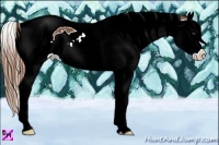 Horse Color:Chestnut Splash Tobiano