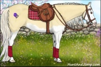 Horse Color:Palomino Dun Splash