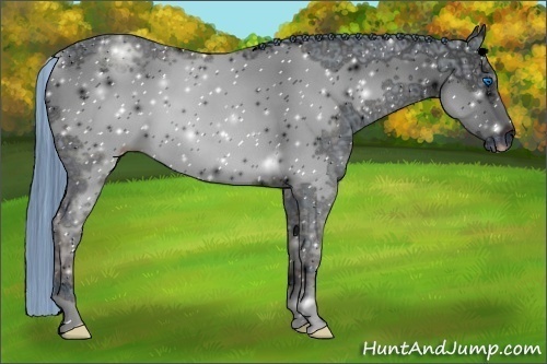 Horse Color:ERROR: UNKNOWN ANOMALY