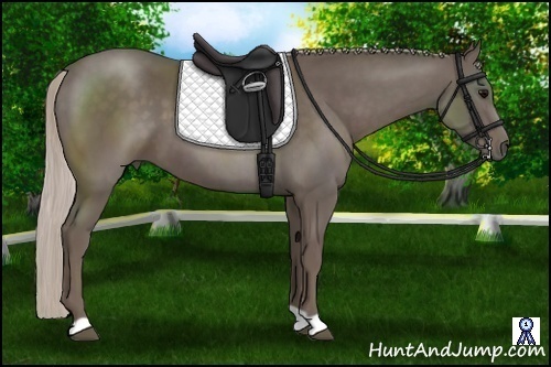 Horse Color:Silver Black 