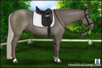 Horse Color:Silver Black