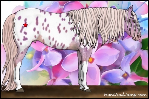 Horse Color:Watercolor Chocolate Palomino Near Leopard