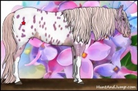 Horse Color:Watercolor Chocolate Palomino Near Leopard 