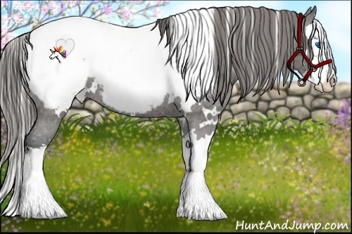 Horse Color:White Spotted Grullo Splash Snowcap