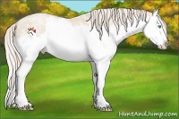 Horse Color:Palomino Ice Pearl Splash
