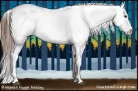 Horse Color:Red Dun Snowcap 