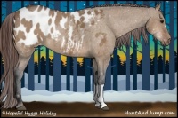Horse Color:Bay Dun Appaloosa 