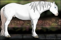 Horse Color:Liver Chestnut Splash Snowflake Varnish