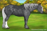 Horse Color:Silver Black Chinchilla 