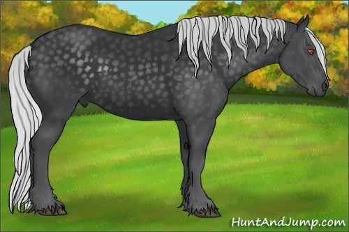 Horse Color:Silver Black Chinchilla