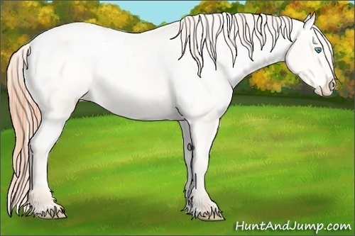 Horse Color:Amber Cream Champagne Pearl Varnish