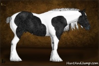 Horse Color:Black Ice Tobiano