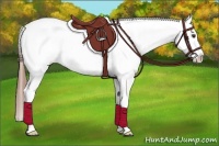 Horse Color:Chestnut Tobiano Near Leopard 