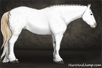 Horse Color:Watercolor Blue Roan Appaloosa 