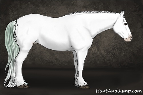 Horse Color:Watercolor Blue Roan Appaloosa 