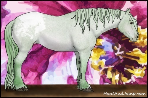 Horse Color:Watercolor Bay Roan Appaloosa 